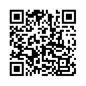 MetaChart QR Code